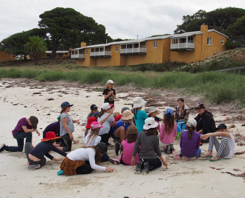 kids at the beach learning