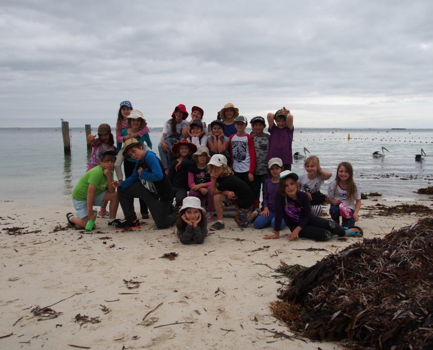 at a beach in rottnest