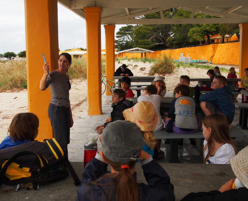 positive learning at the beach