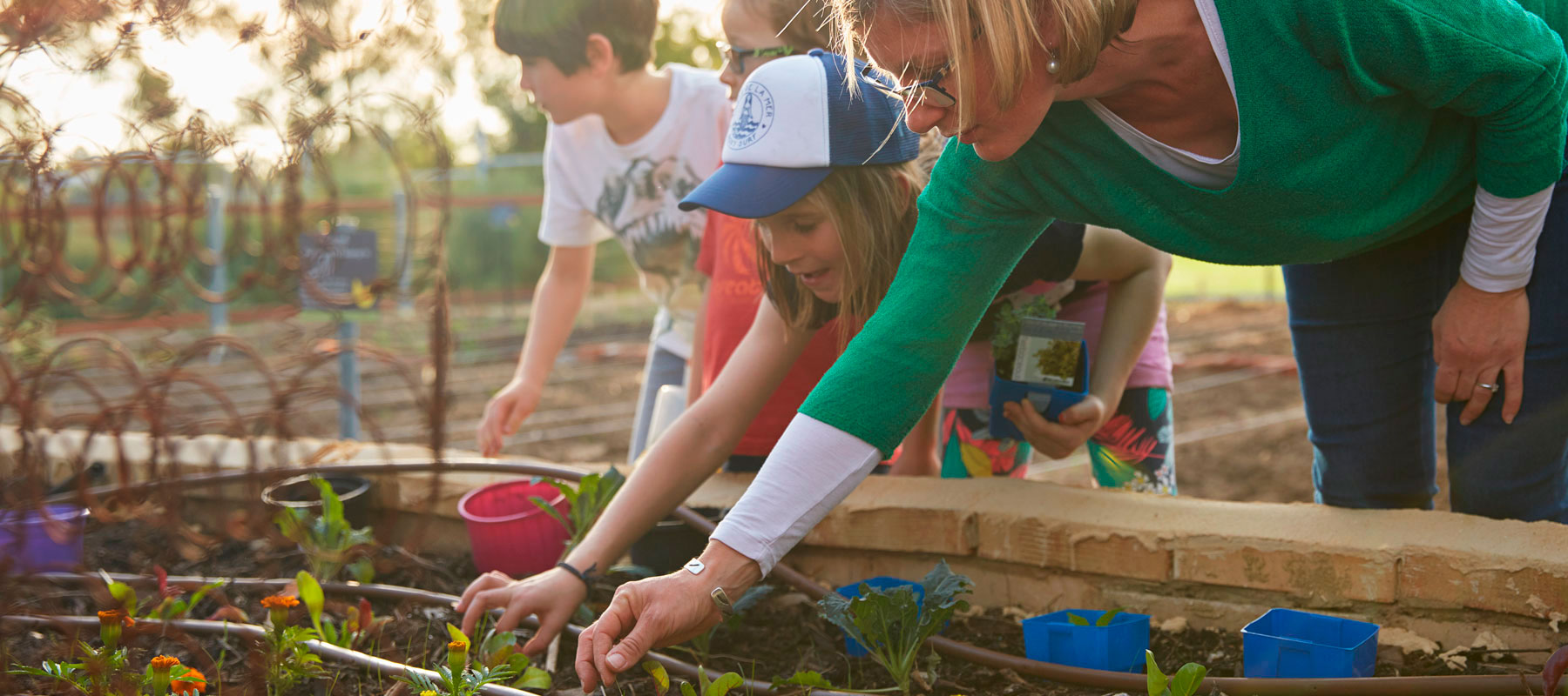 Lance Holt community garden