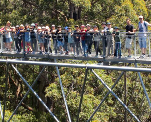 Year 5 and 6 students on Albany camp