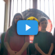 fremantle primary school students - acknowledgement of country