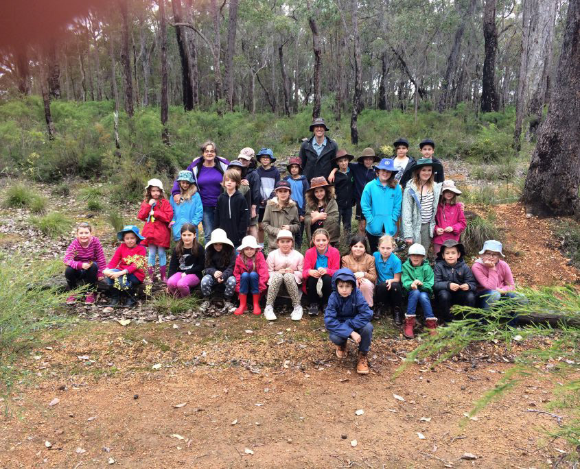 in a forrest in busselton WA