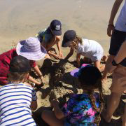 making sandcastles