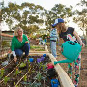 watering at Lance Holt Community Garden