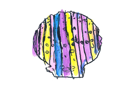 shell