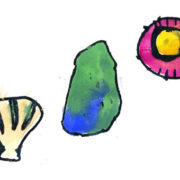 kids drawing of sea shells and rocks
