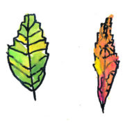 kids drawing of leaves