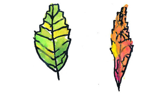 kids drawing of leaves