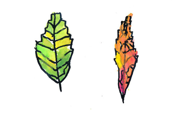 kids drawing of leaves