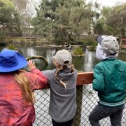 Students at zoo