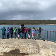 Bush School Weir Dam